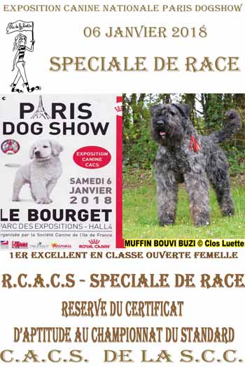 MUFFIN Elevage du Clos de la Luette RCACS Paris DOGSHOW 2018